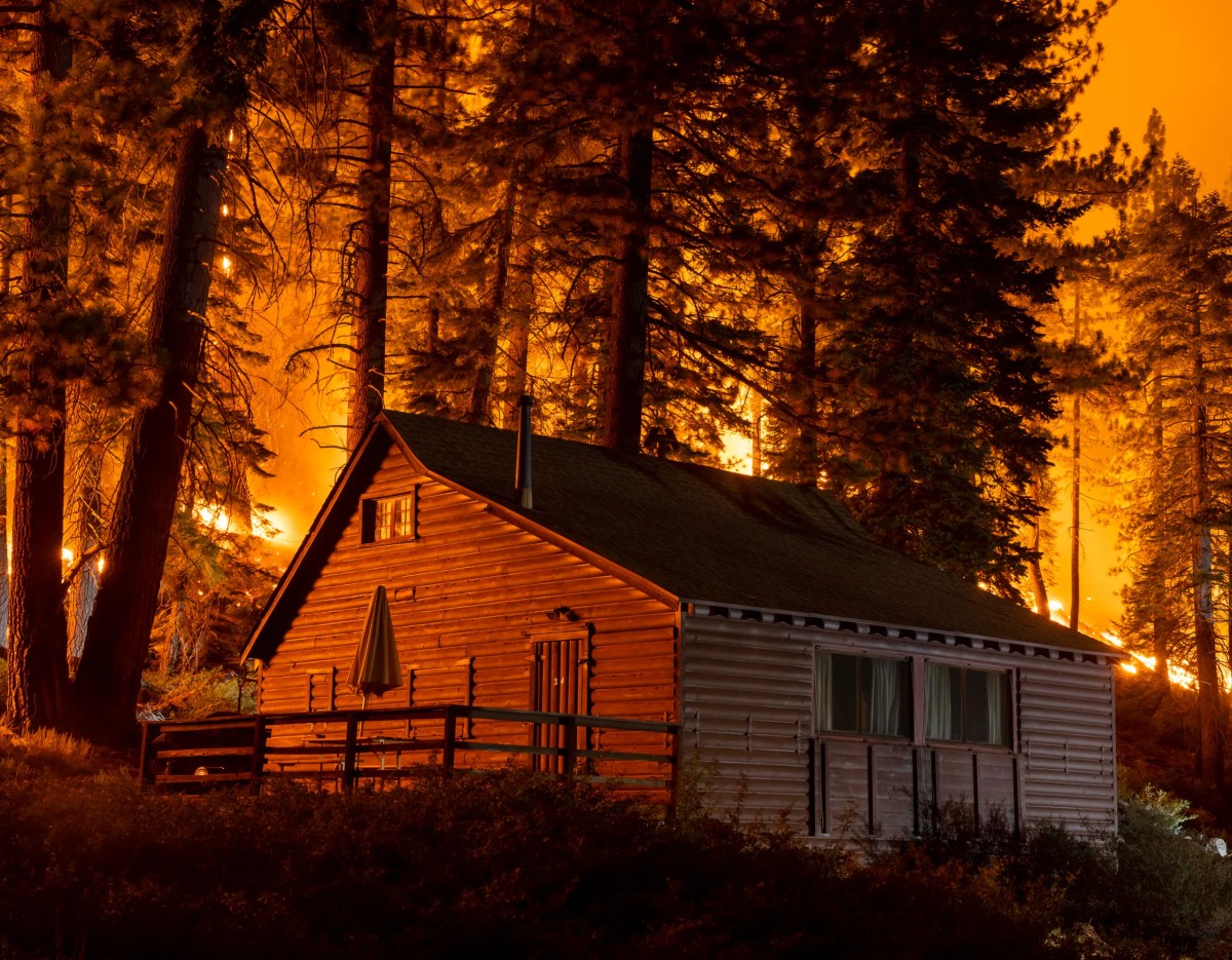 'God was with him': Actor James Woods describes harrowing wildfire